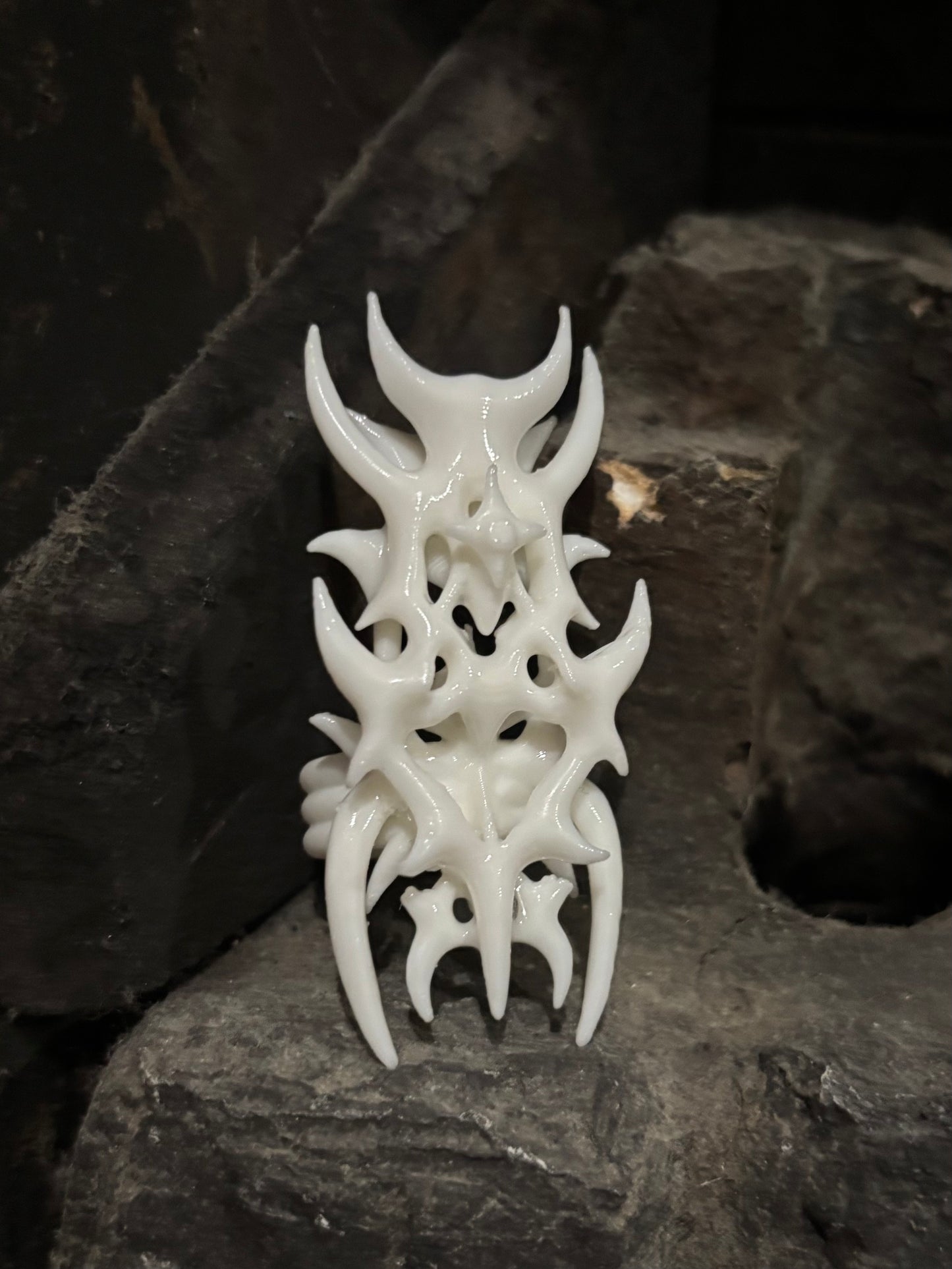 Carapace α