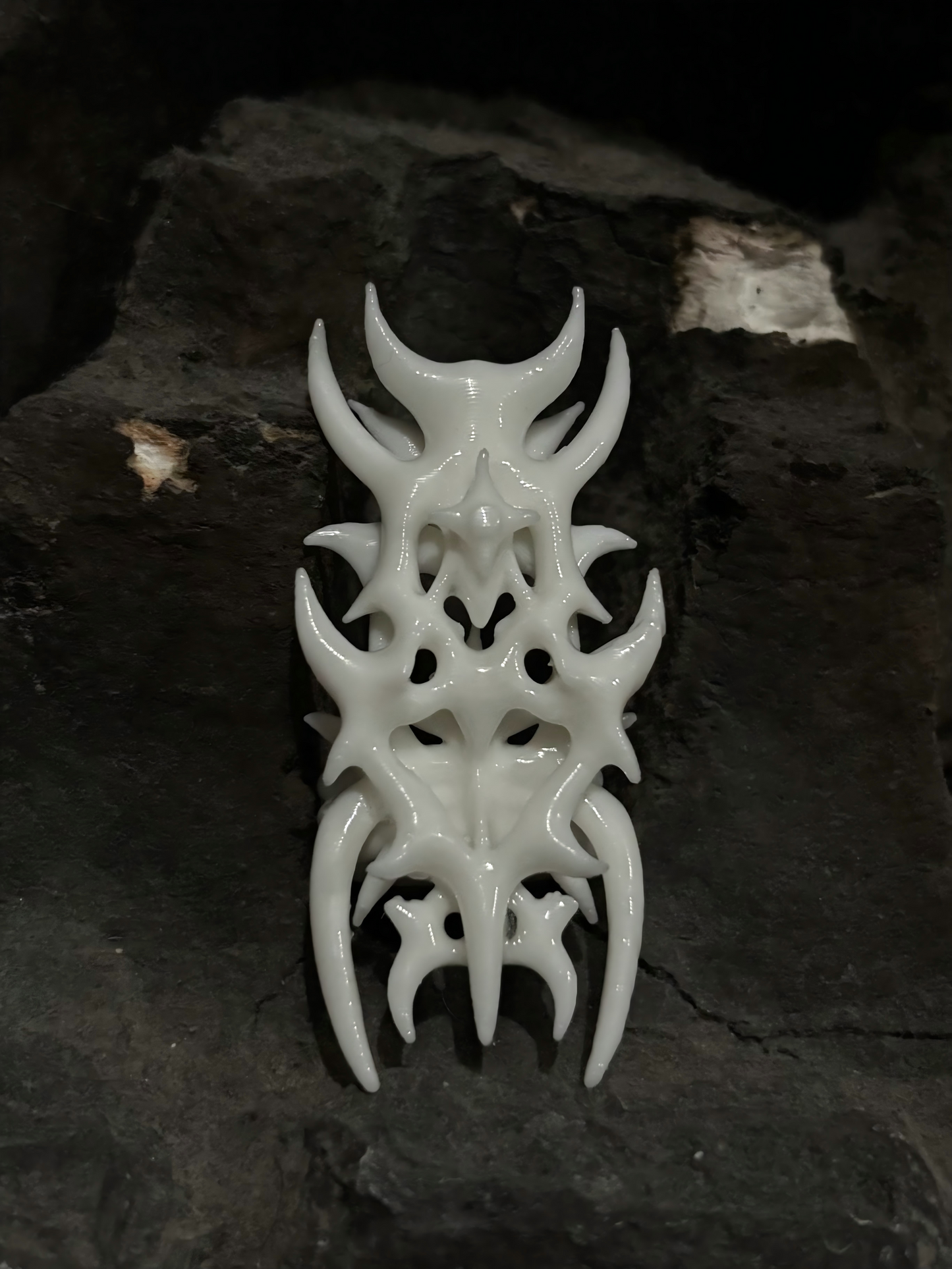 Carapace α