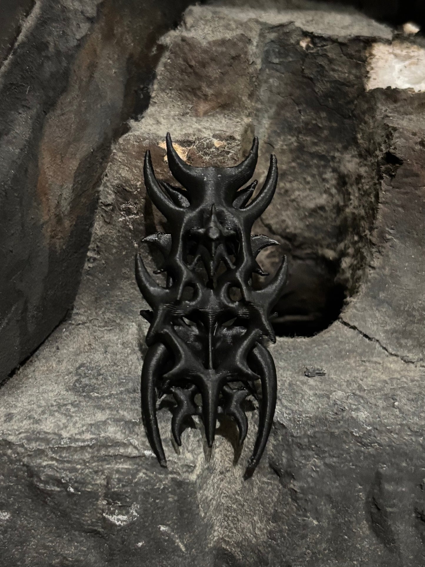 Carapace β